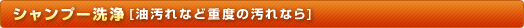 シャンプー洗浄